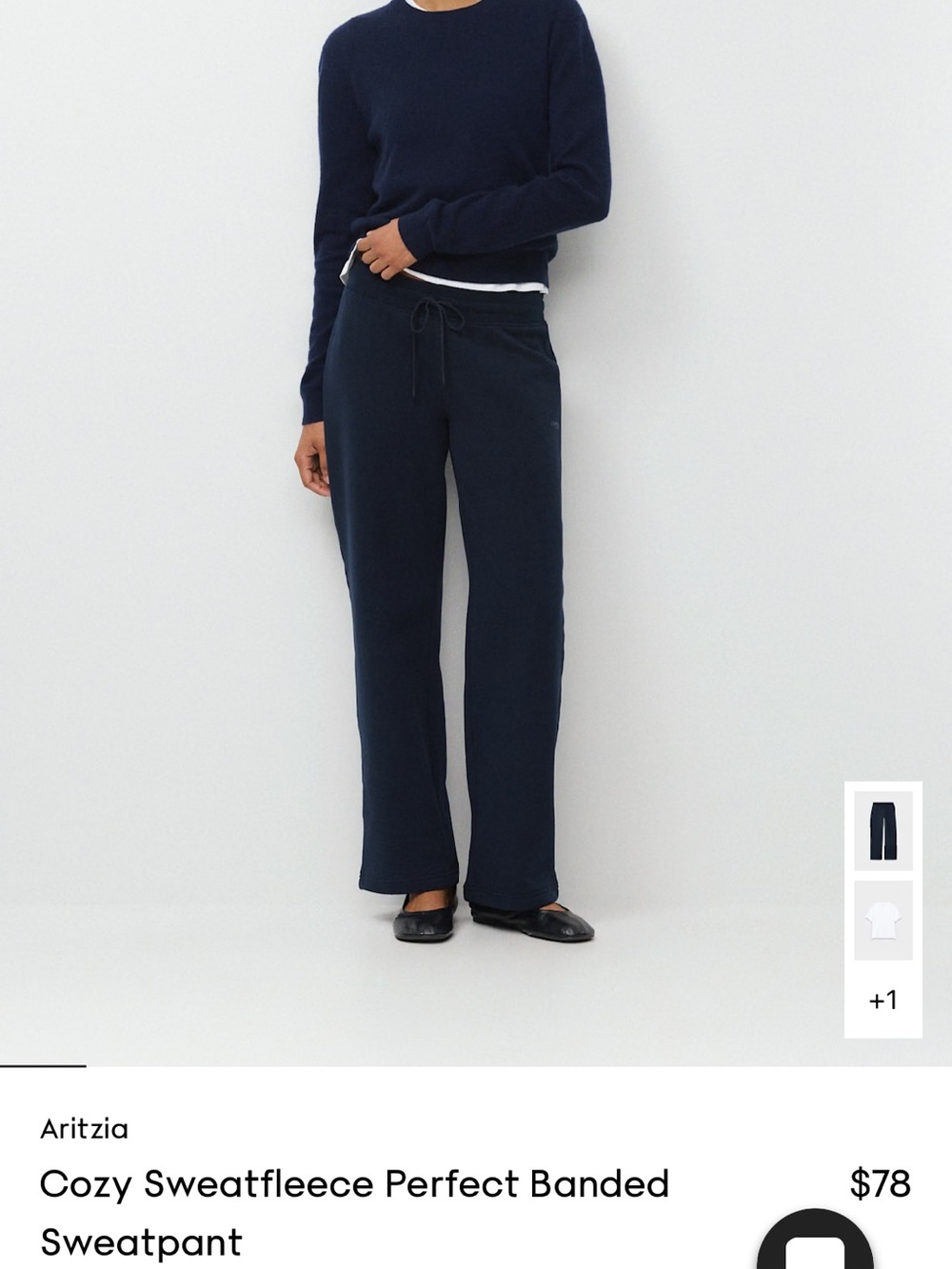 Aritzia Cozy Sweatfleece Perfect Banded Sweatpant